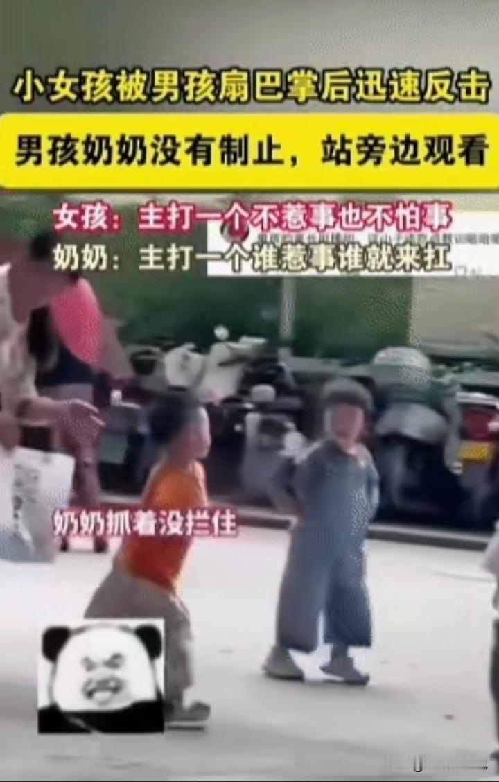 当小女孩被扇巴掌时，我支持她进行合理反击。孩子虽小，但也有维护自身尊严和安全的权