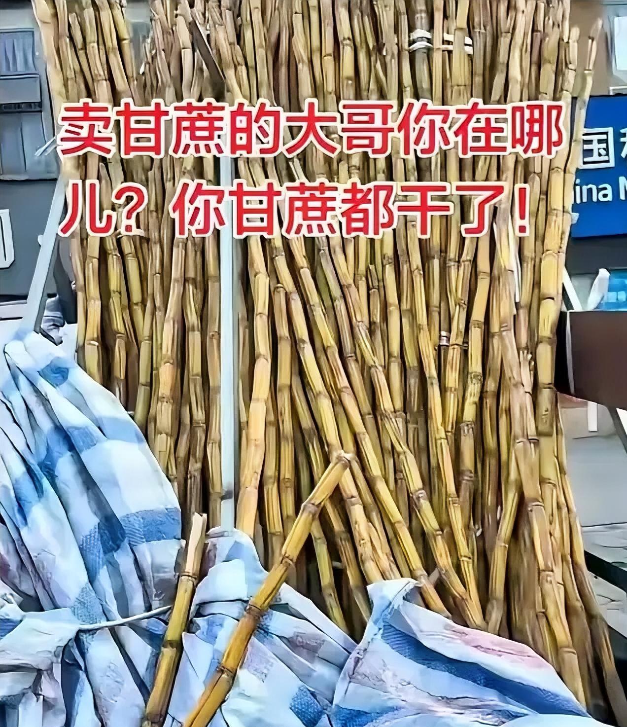 四川，一男子发现，楼下常年摆摊卖甘蔗的大哥，年前把摊子摆好后，过完年到现在人都没