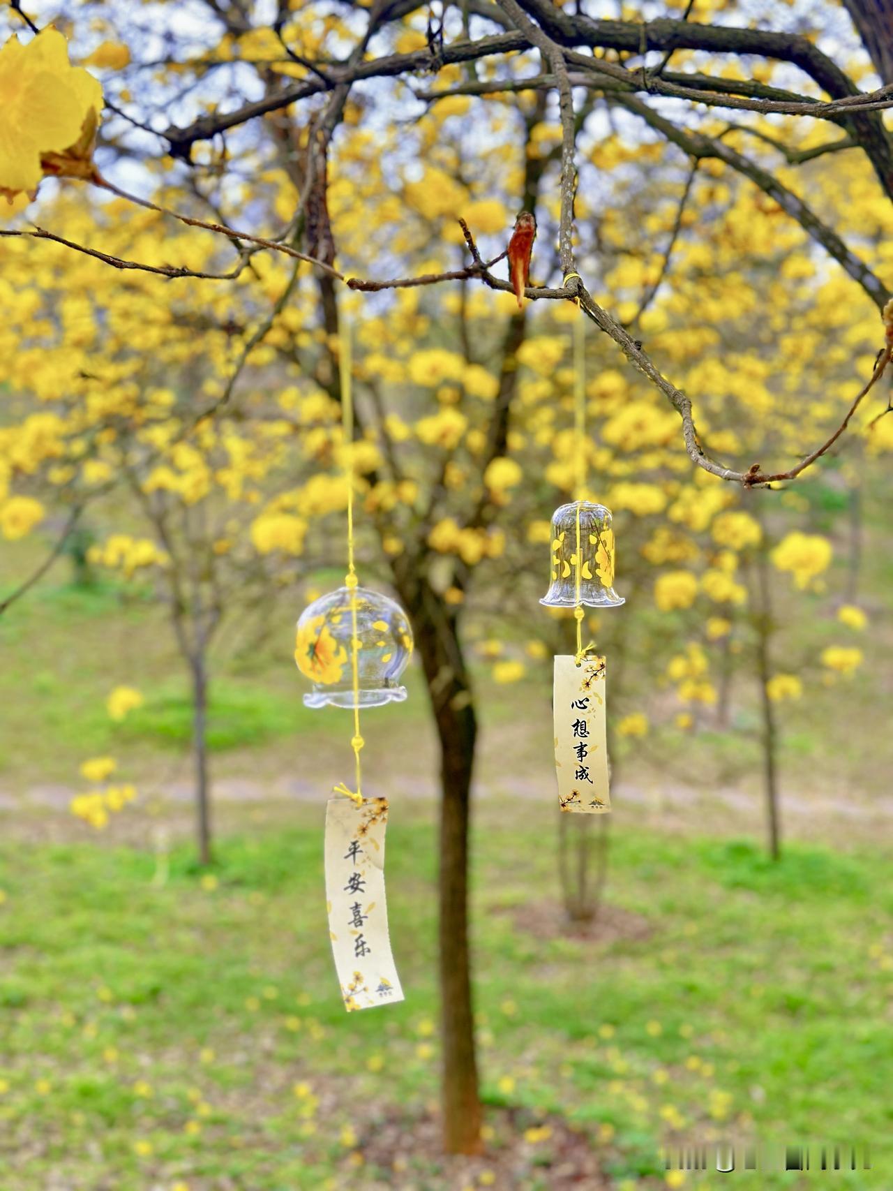 腊月二十三，小年福连天，所求都如愿，所愿都实现！小年小团圆，愿心纳吉，万事兴，岁