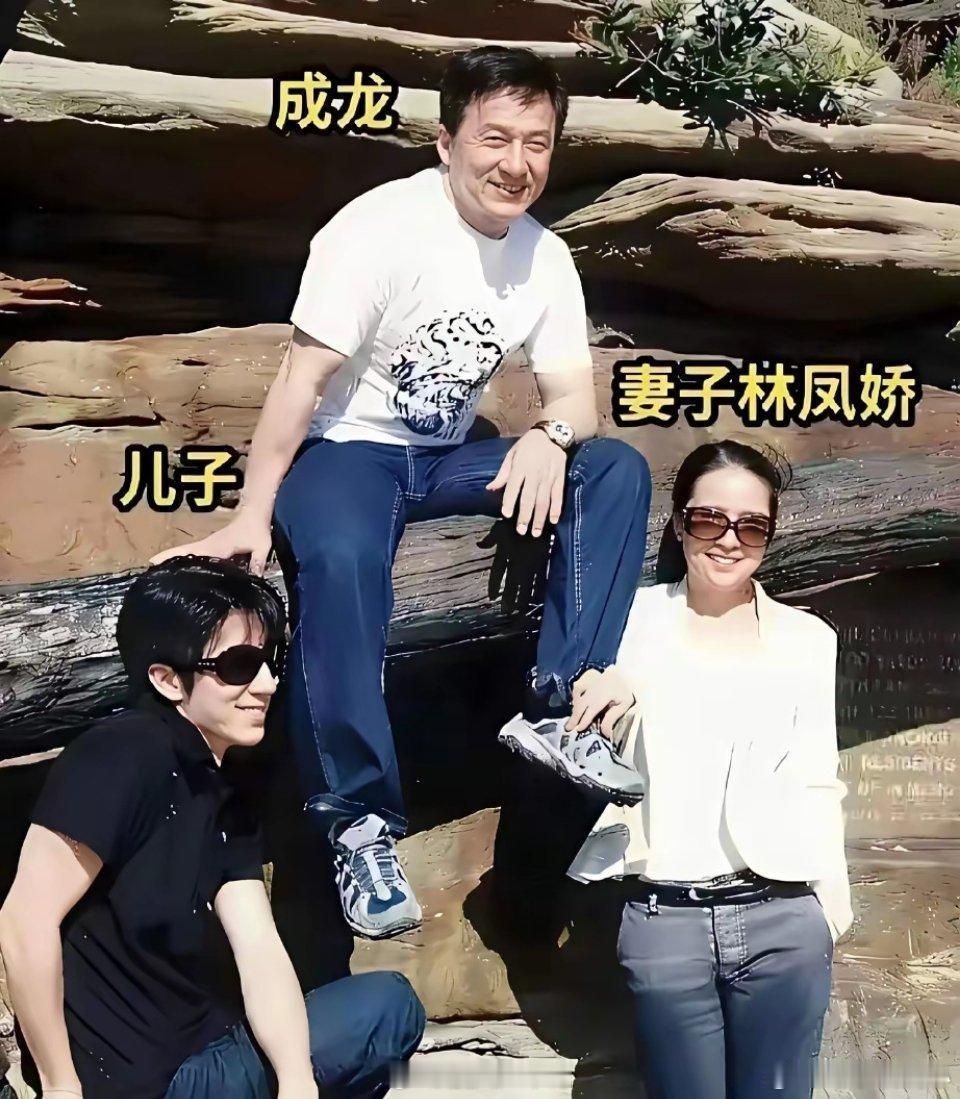成龙的眼光确实没得说，林凤娇那是真的美， 