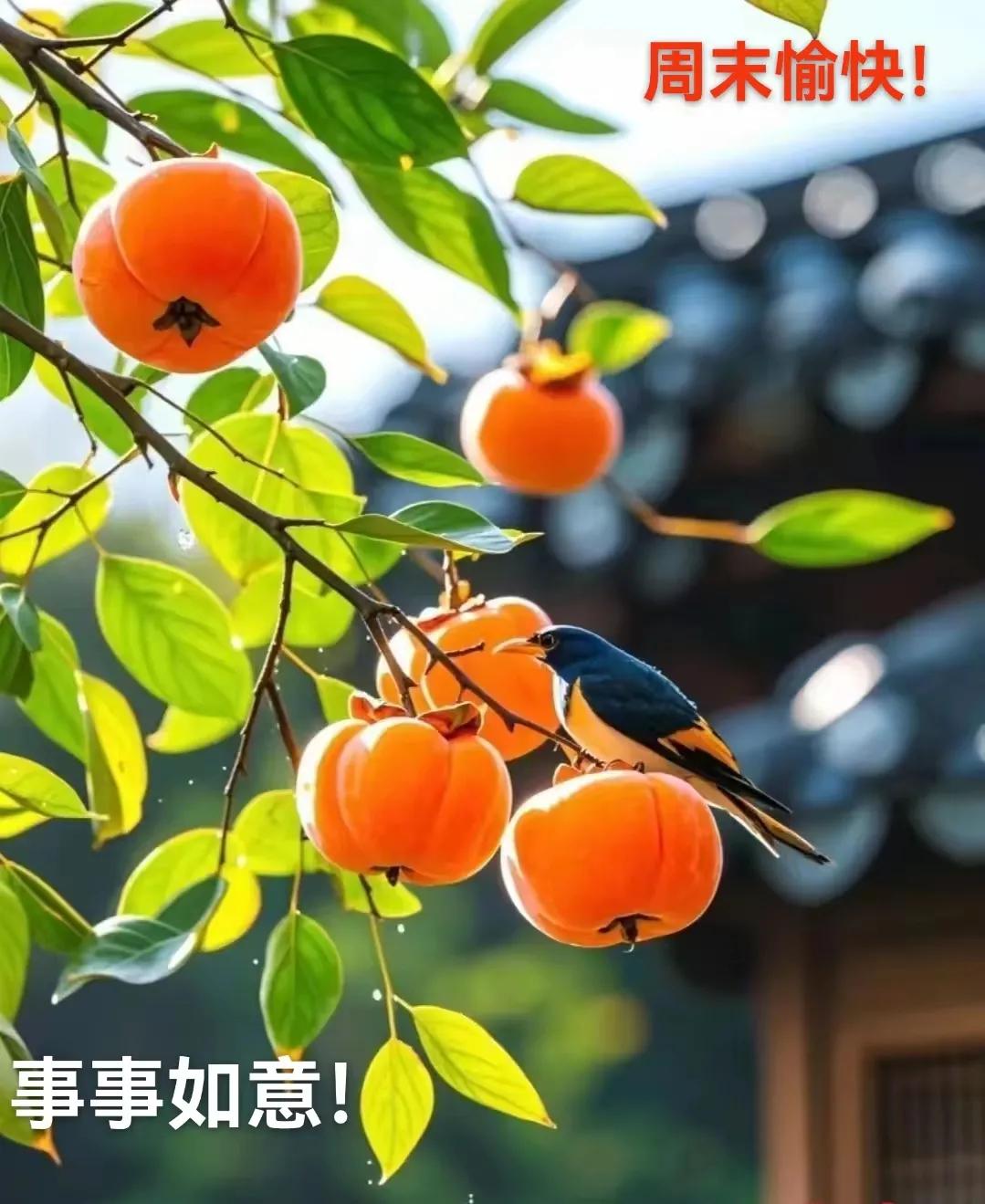 《给我》，一颗赤诚的心灵发出的美好期盼，愿一切美好如期而至，让明媚的阳光永伴人生