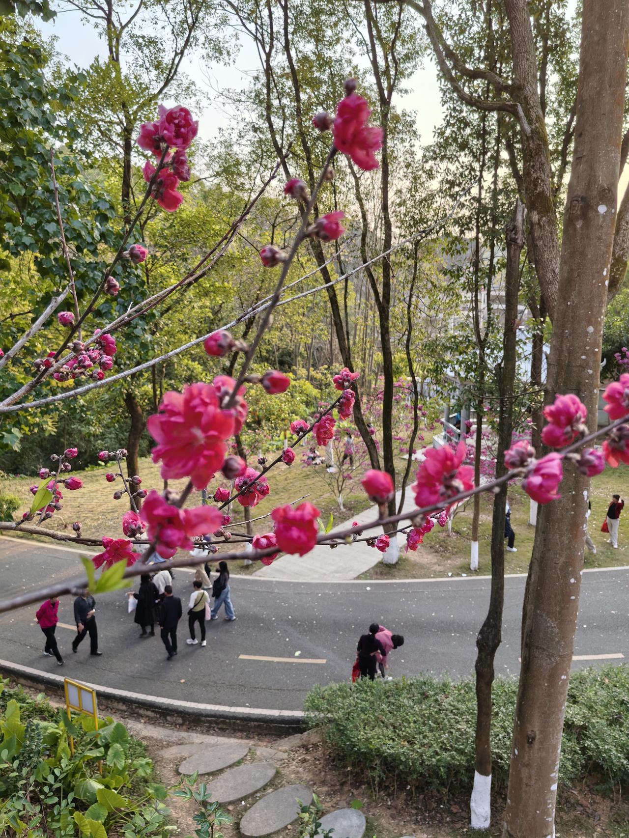 速度都是人的驾驶问题，昨天返程到深圳，开的是卡罗拉锐放，一路超车100∽125速