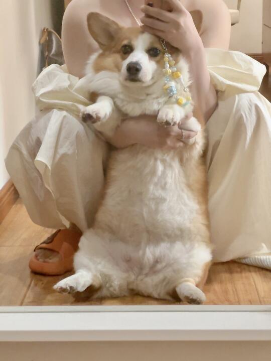 🐶：麻麻，这个姿势拍照很显胖☹️