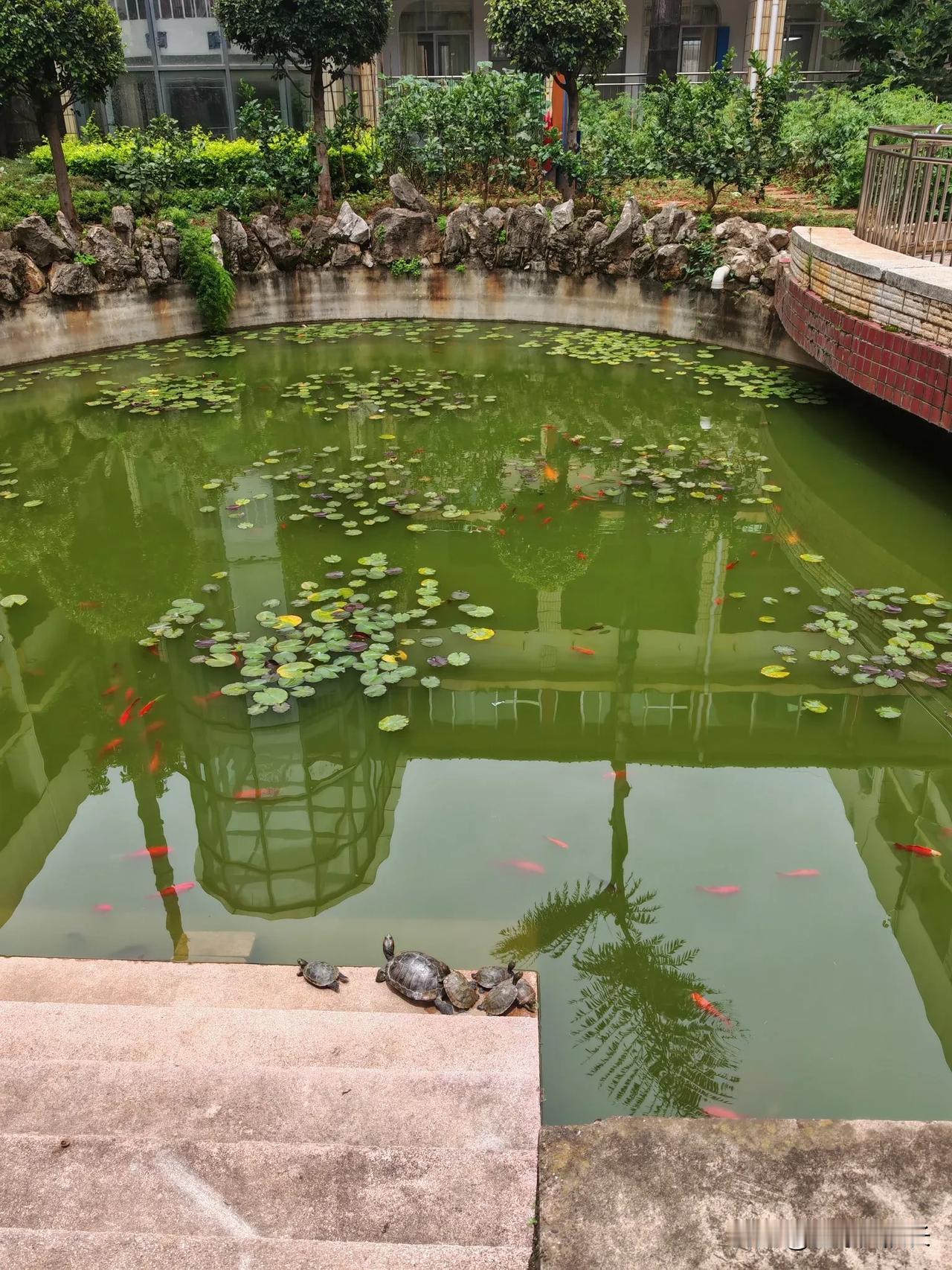 分享城市新鲜事你知道这是昆明哪里吗？