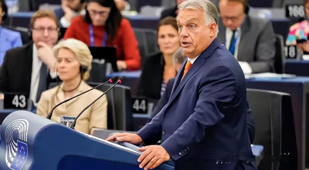 最近火传的“欧盟议员喊冯德莱恩滚回美国”，本质是“情绪没掺假，台词加了戏”。真实