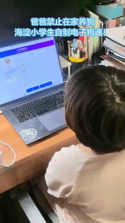 一代人有一代人的赛博宠物  的确感受到电子宠物也是会给我们带来很多的快乐，而且这