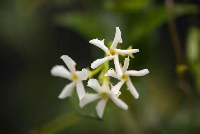 只要你敢敞开心扉，贵人就扎堆来！
这句话传递了一种积极的人生态度，意思是只要你敢
