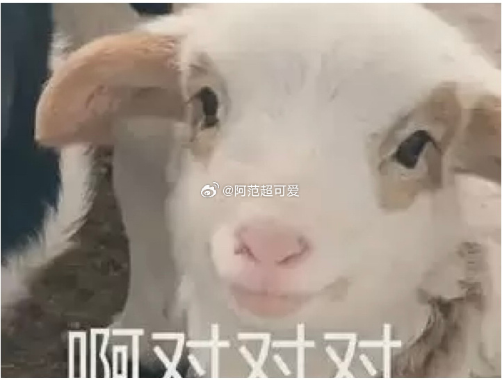 #淘宝斗地主大赛热度超过原神#没想到斗地主大赛的活跃用户已经有这么多了，只是会觉