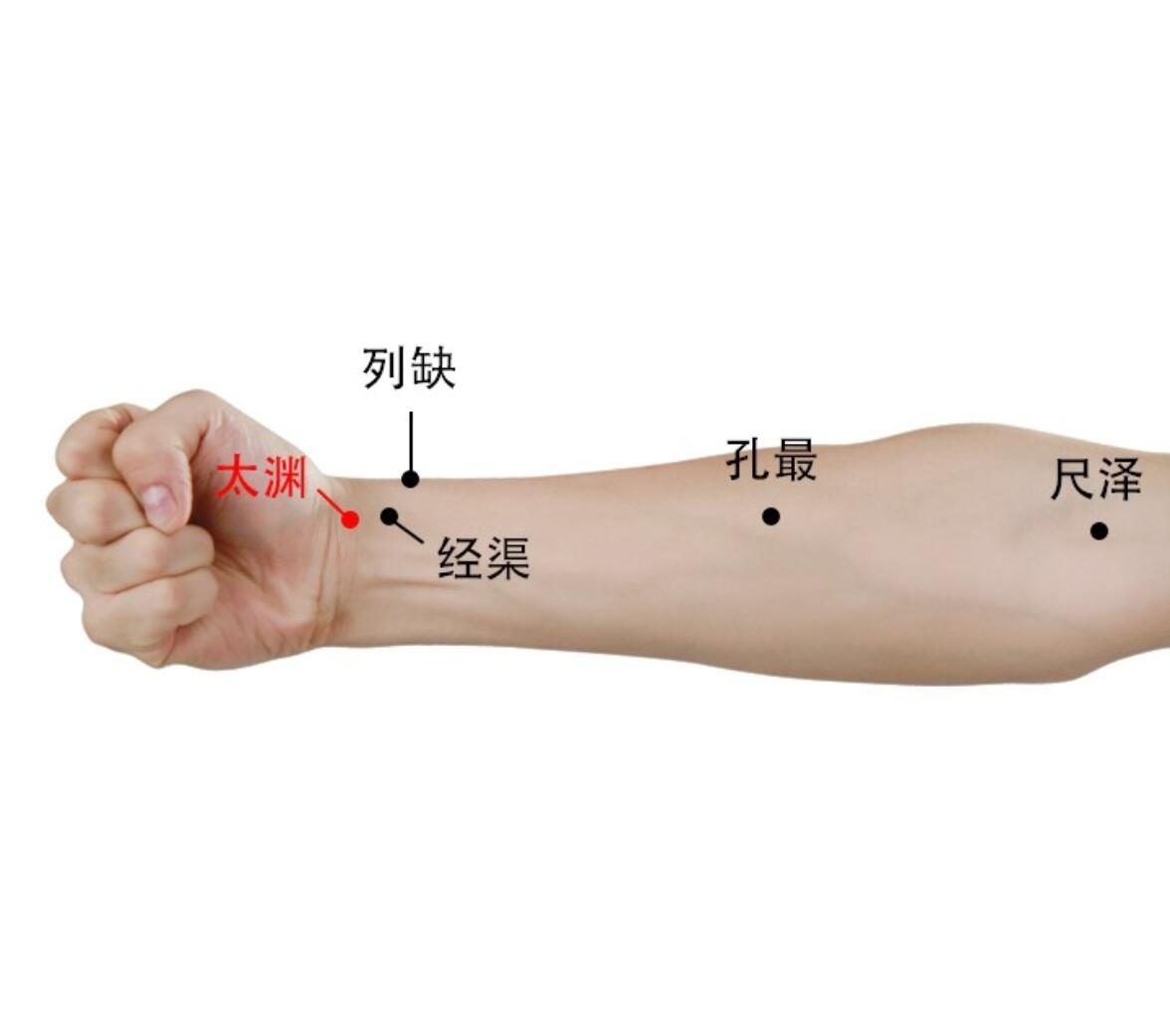 太渊穴：肺经“原穴+脉会”，补肺护心的“元气大本营”
 
作为手太阴肺经的原穴（