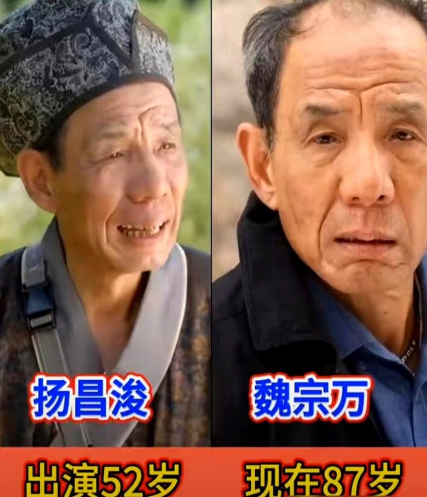 重看《杨乃武与小白菜》，才发现我错怪编剧了。

小白菜根本不是什么纯情小白花！