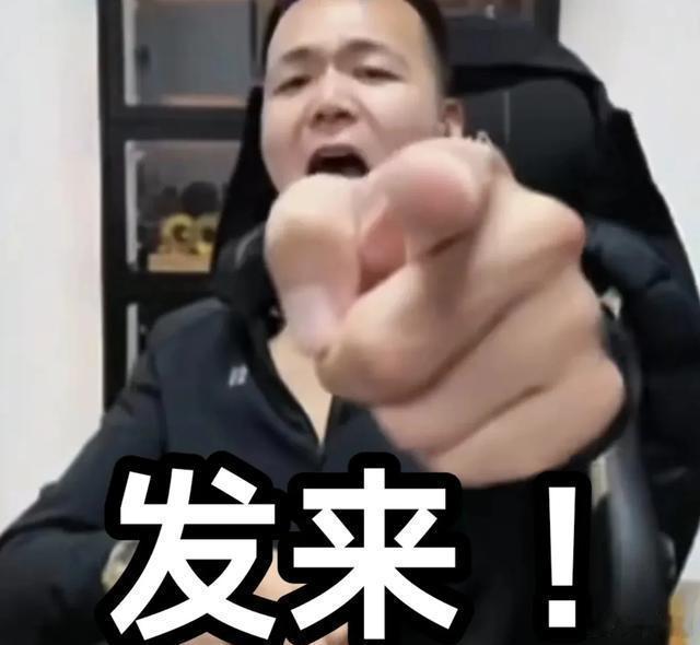 潘宏狗市救狗 他训狗的核心：如果不：暴力训狗，这些狗就活不了，会被主人放弃安乐掉