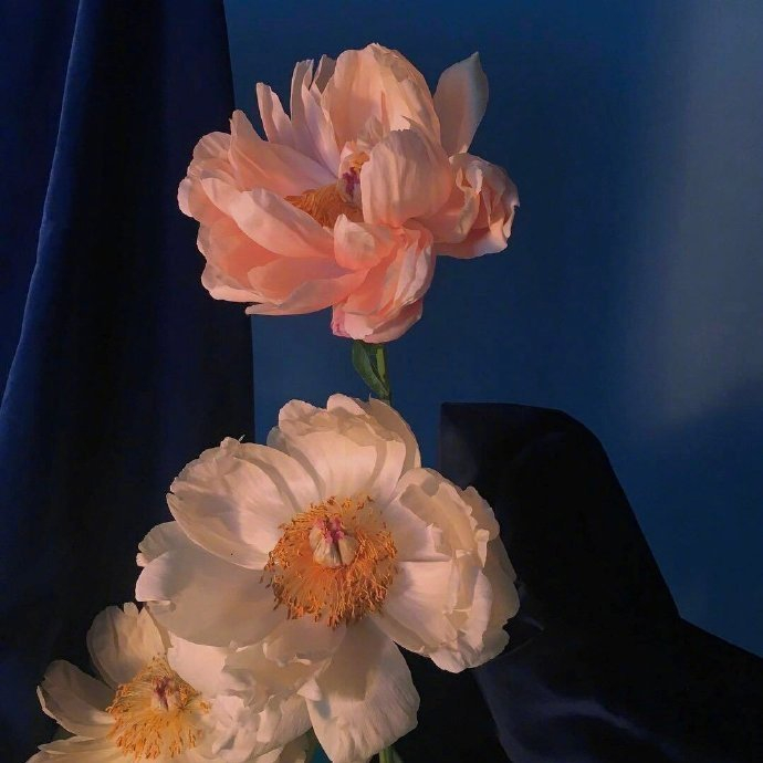 愿努力生活的人，都各有各的风雨灿烂。 晚安~