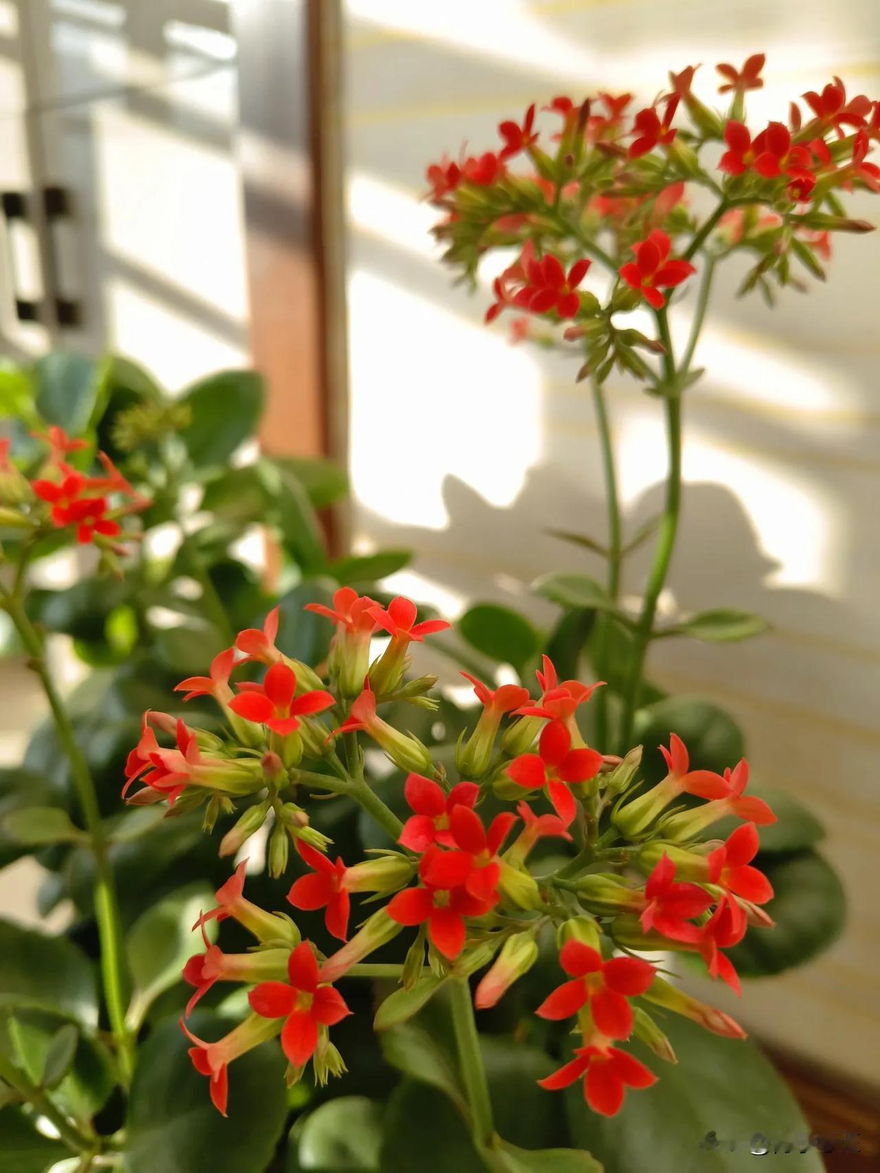 祝各位考友，新年逢考必过。
珍惜美好生活，热爱所拥有的一切幸福。去除不悦，迎接新