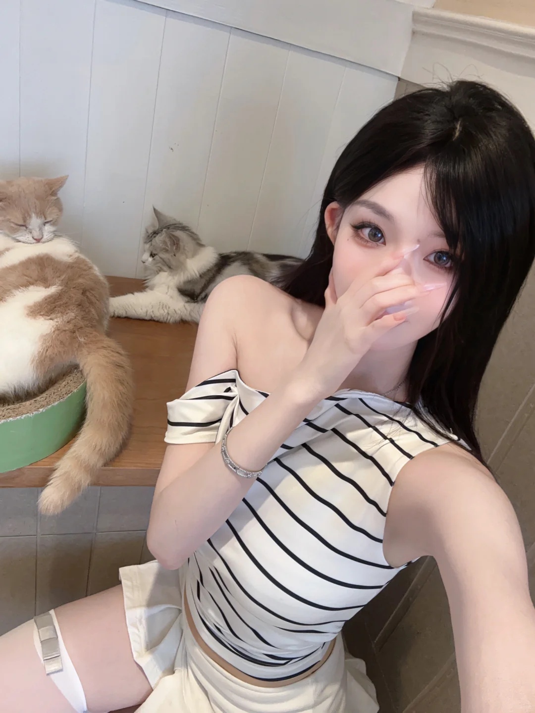 猫猫狗狗是人类最好的朋友啦