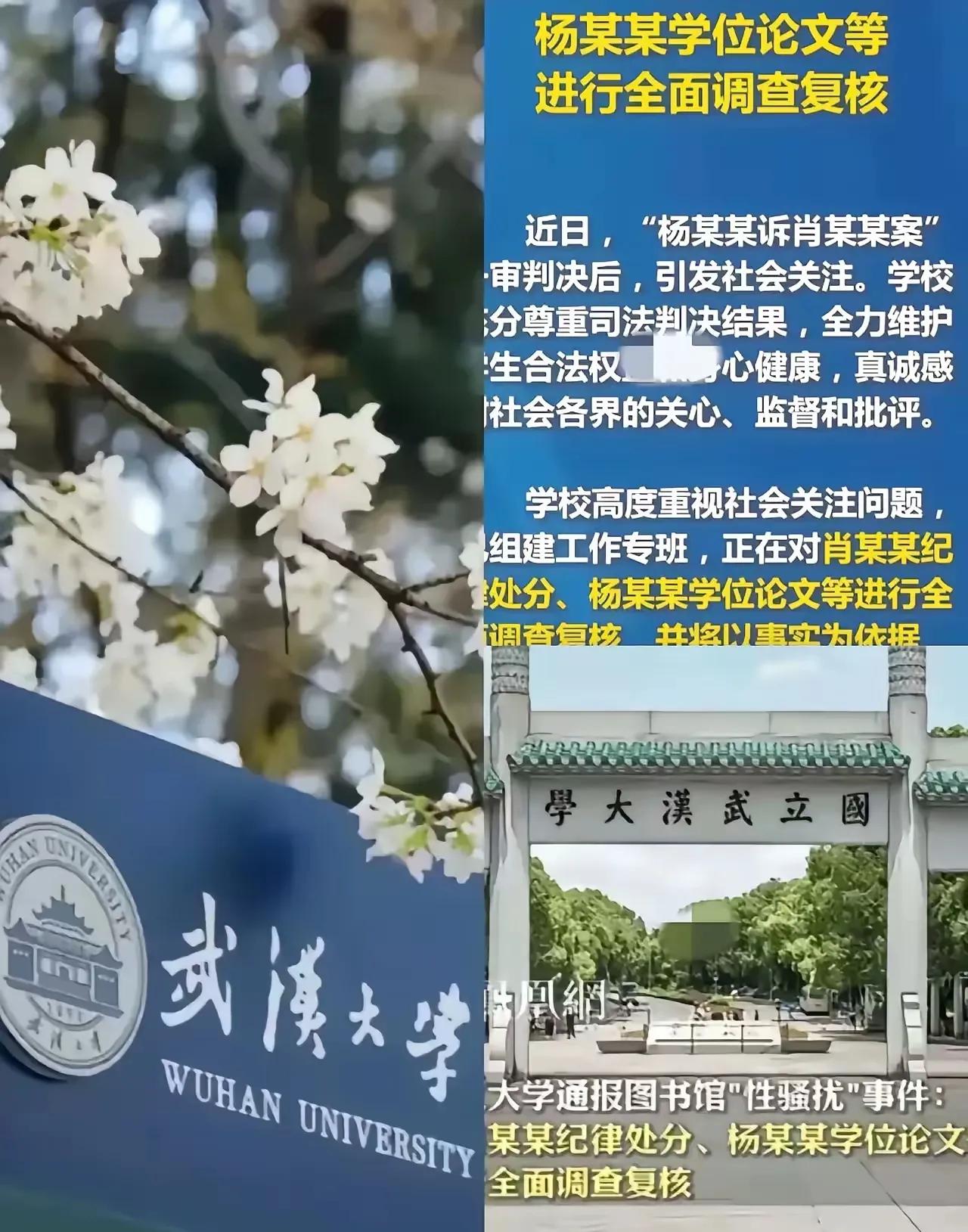 杨景媛这波操作，真是把武大搅得鸡飞狗跳。放录音说握着领导