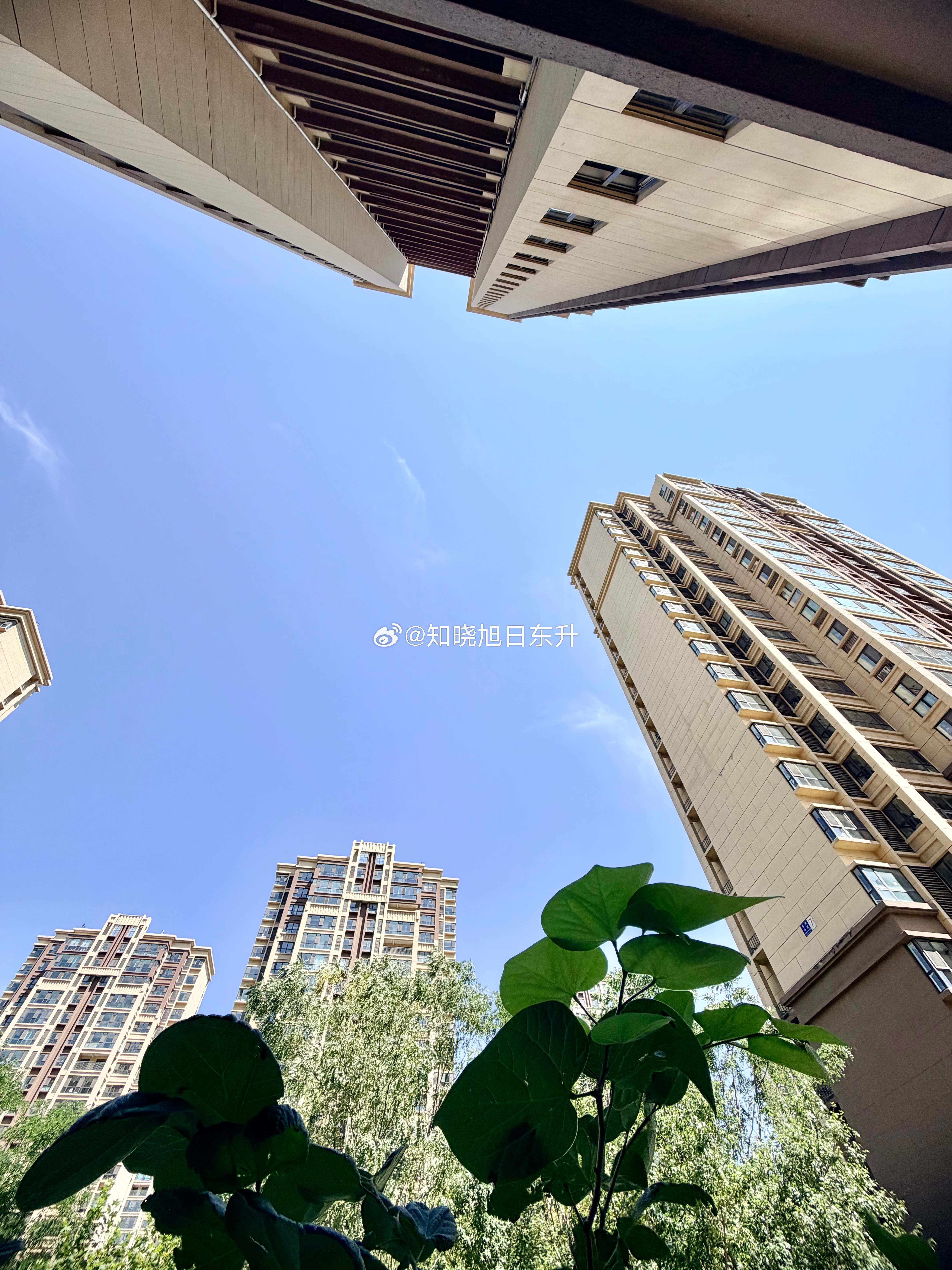 今天35度，中午婆婆做的大酱黄花鱼，我一个人干掉一条，鲜美极了。 
