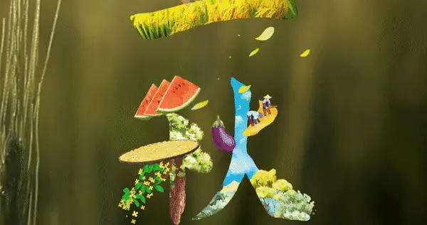 立秋！夜晚的一缕清风，向我们递来了秋的消息