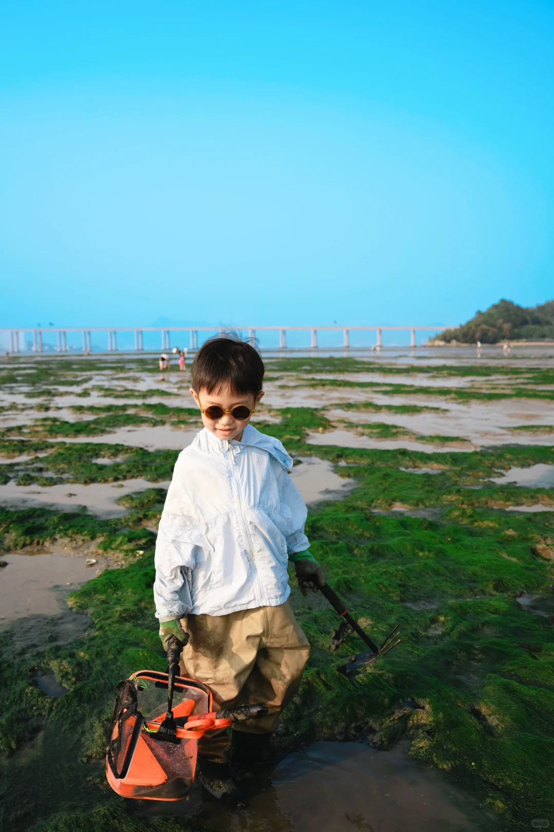 惠州巽寮湾赶海✔️新手挖花甲，体验感满满