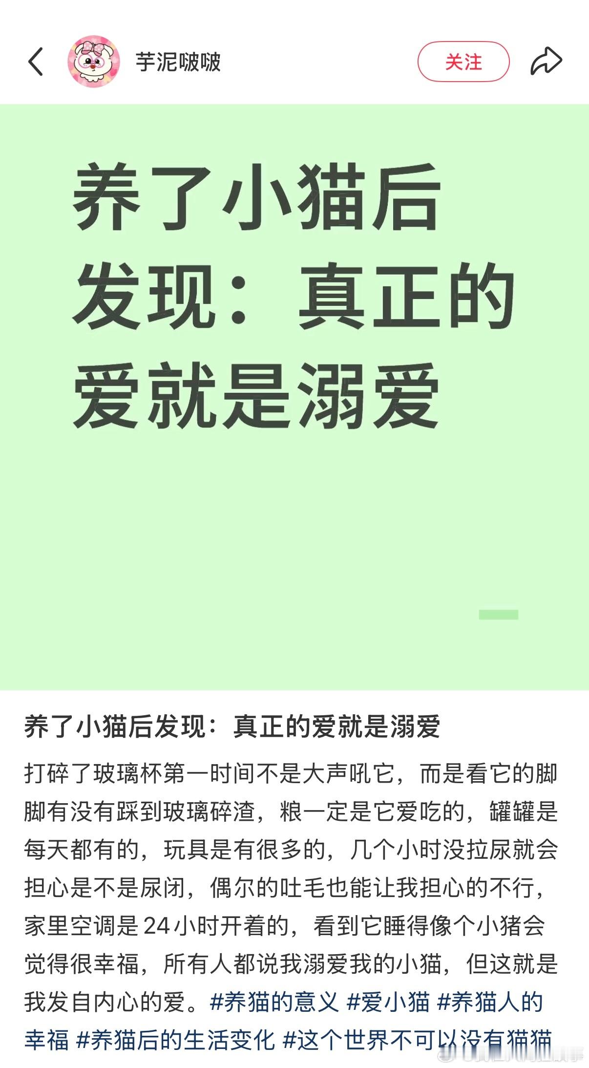 养猫后才发现真正的爱是溺爱 ​​​
