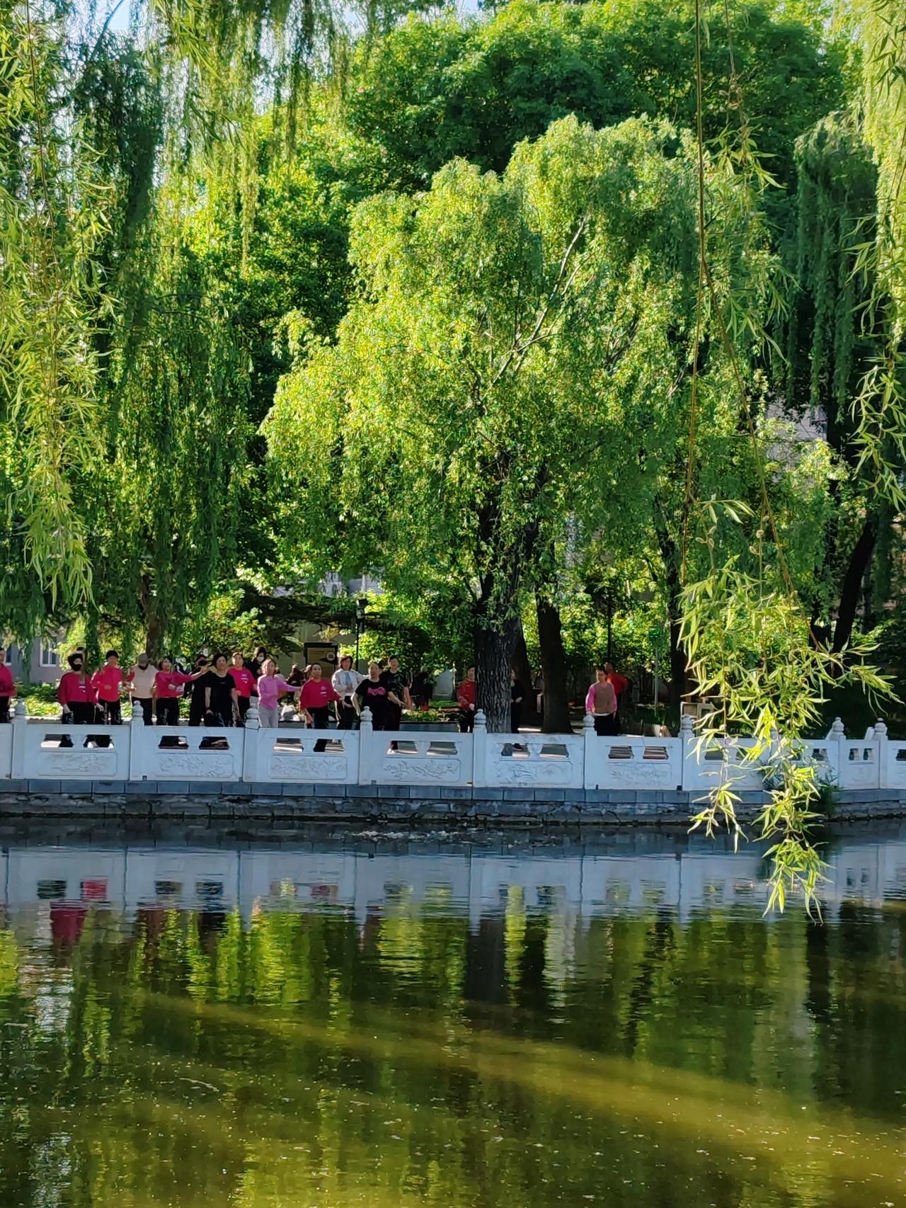 春日生活打卡季