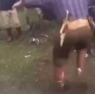 人在河边走，哪有不湿鞋