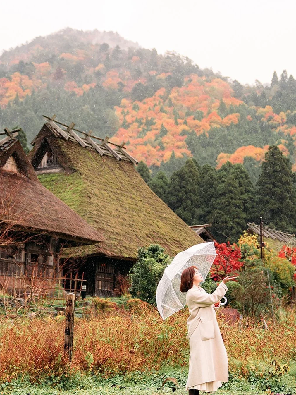 像白川乡这样的童话村落，日本居然有3个❗