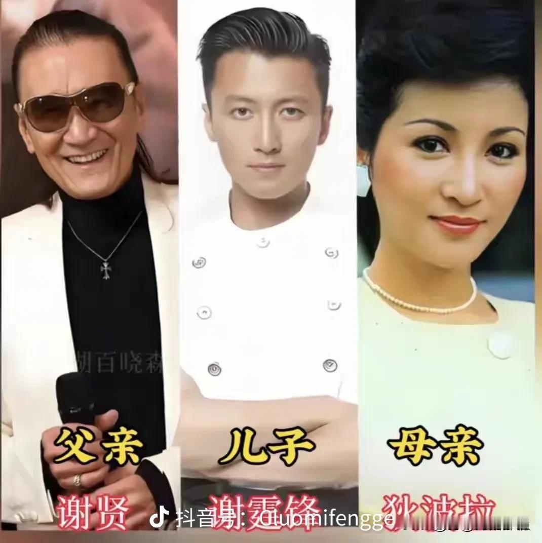 娱乐圈明星一家三口大合集，高颜值家庭，个个都是基因赢家
谢贤、谢霆锋、狄波拉；
