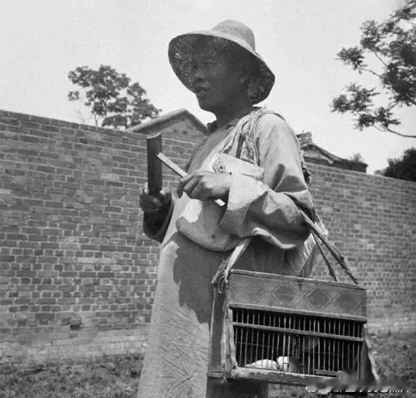 民国时期，用鸟算命的江湖术士 