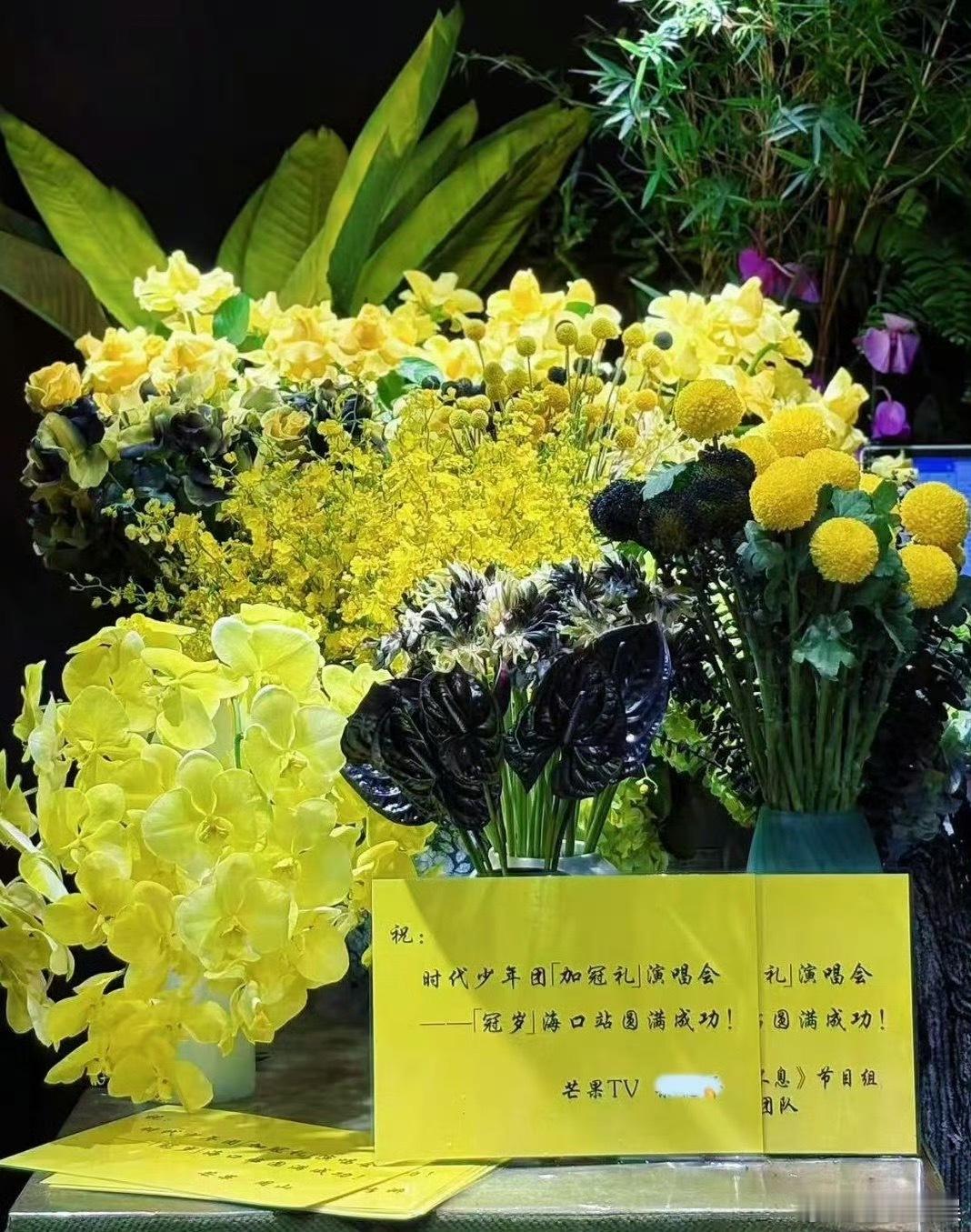投时代少年团海口演唱会 声生不息节目组跟芒果TV准备给时团演唱会送的花 ​​​
