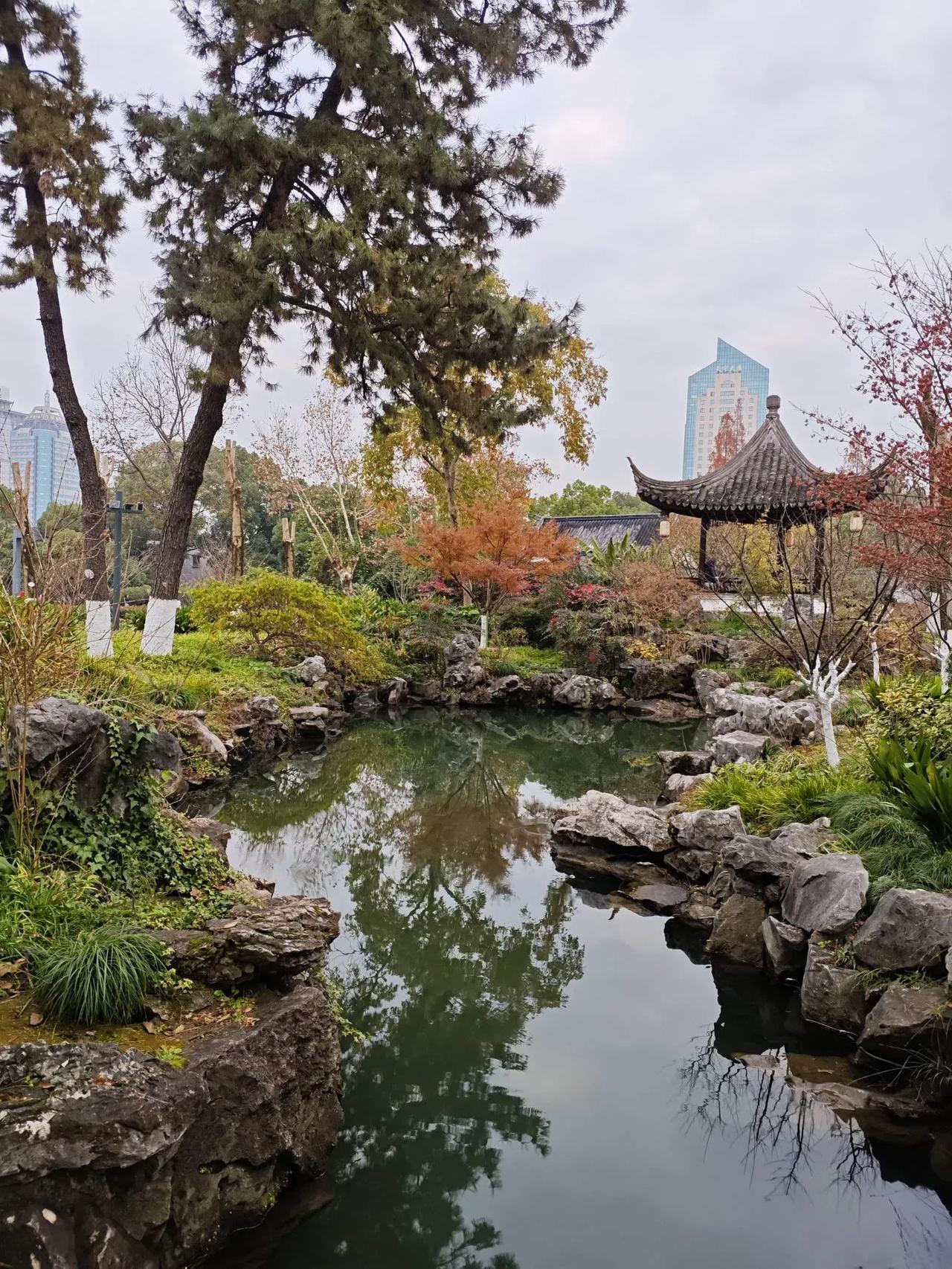 宁波市区的月湖公园，
园林景观，江南风情！
宁波景