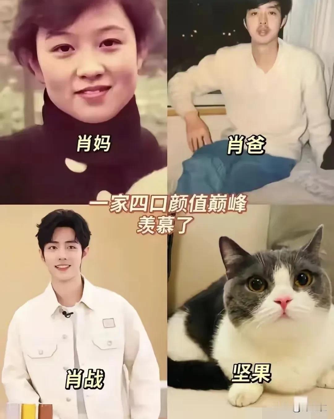 肖战可不是基因彩票，因为他妈妈明显是一个明艳大美女，而且他妈妈那个年代。

照片