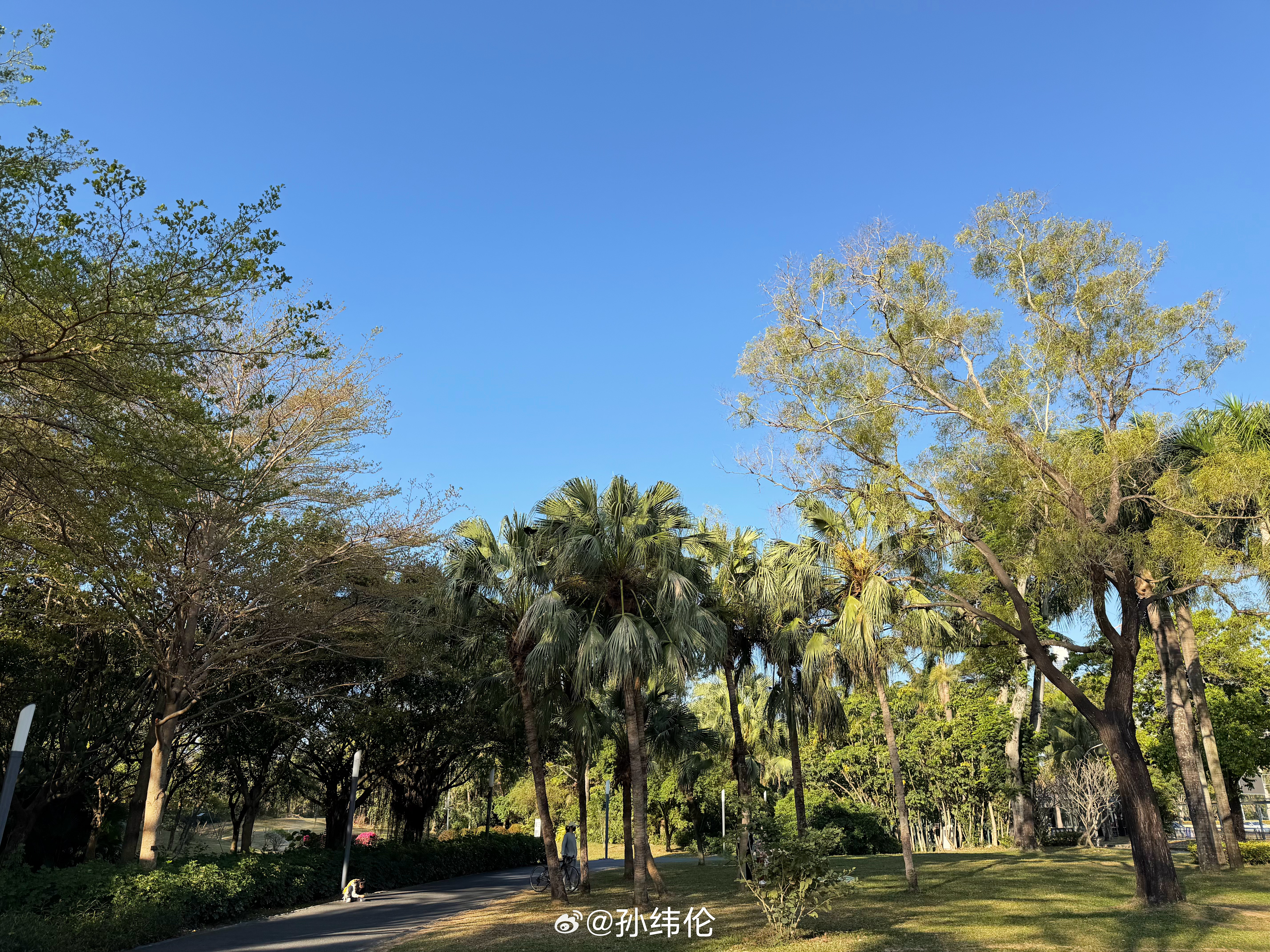 早安深圳湾 深圳·深圳湾公园