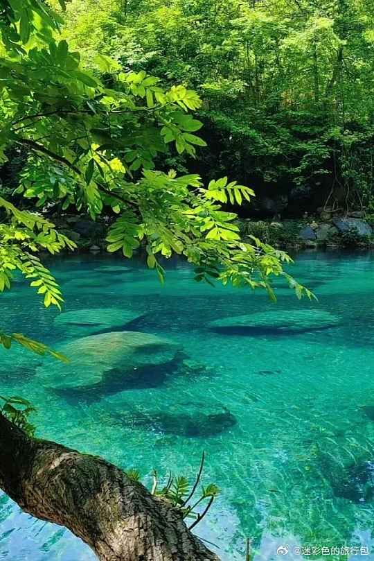皖南夏日避暑绝佳选择 —— 池州石台醉山野！整条峡谷栈道被浓密绿植层层包裹，密林