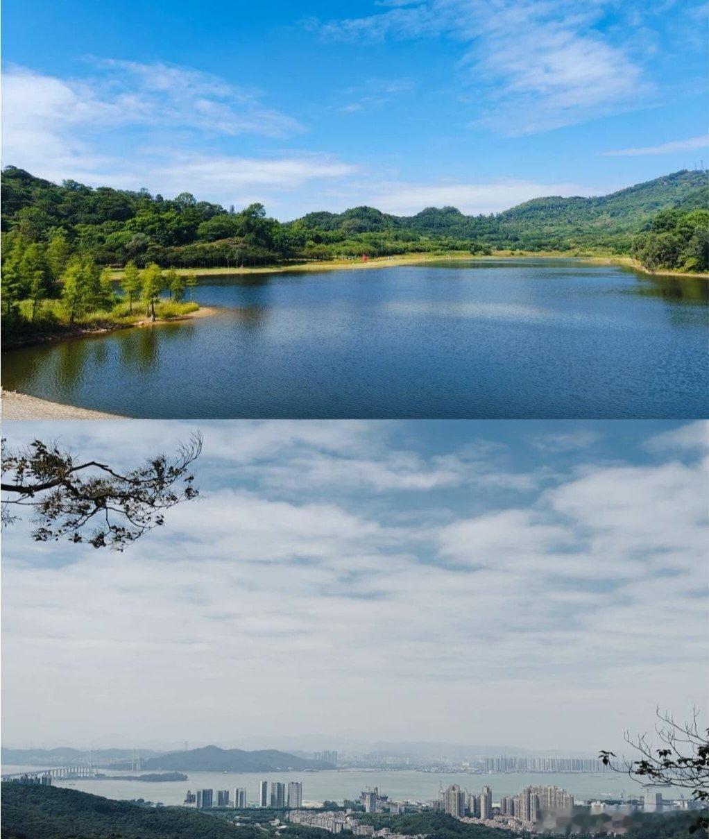 【怡云偶吟】五一游记游黄山鲁森林公园文/张会伟之一：五律龙首通天路，香樟大道行。