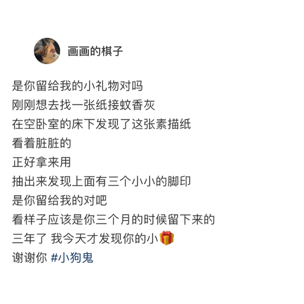 在床底发现了已逝小狗三年前的脚印[泪] ​​​