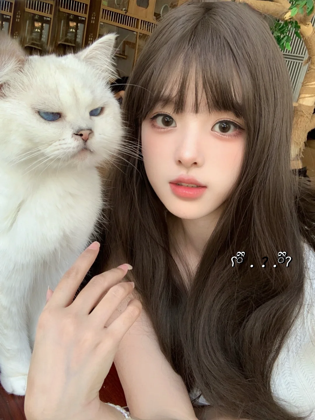 ᜊʕ ྀི . . . ྀིʔᜊ🐈