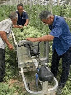 这才是真正的原地掉头～