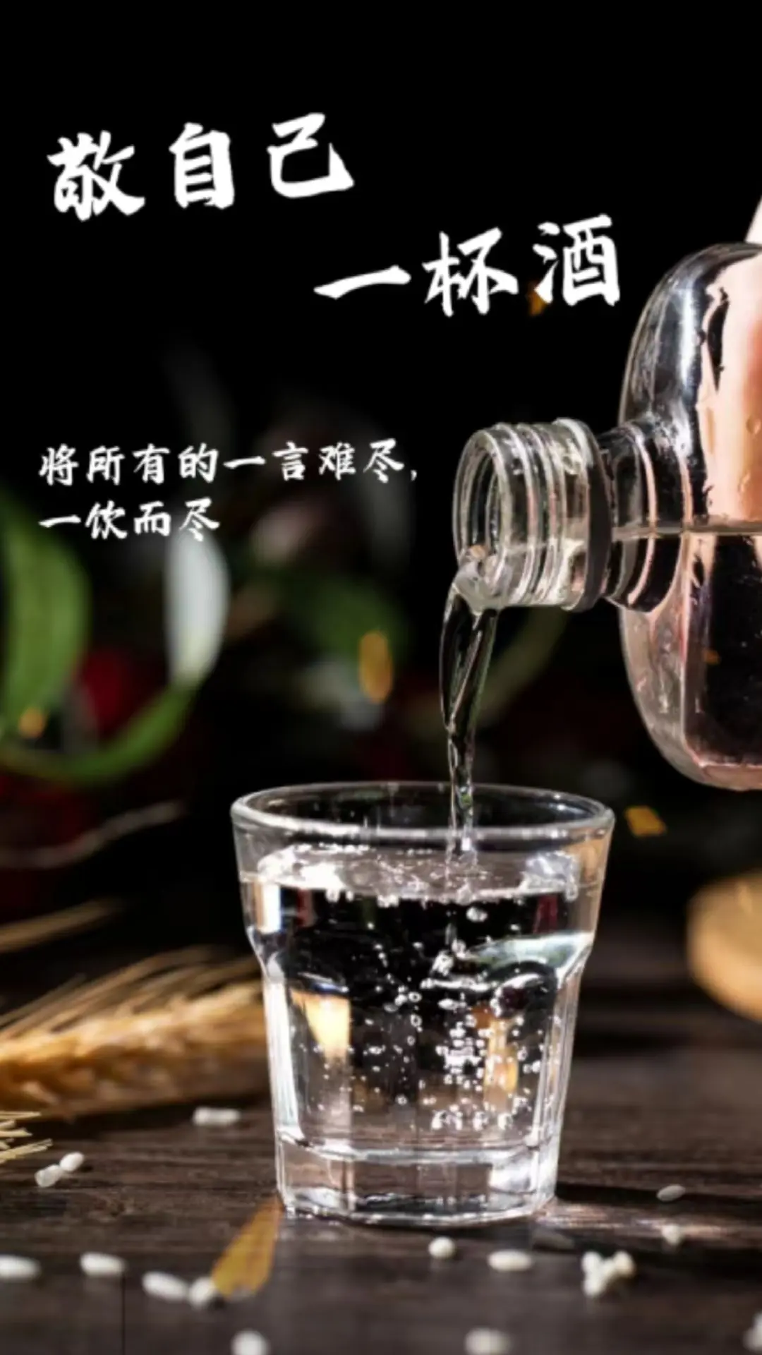 致每一位认真生活的人们