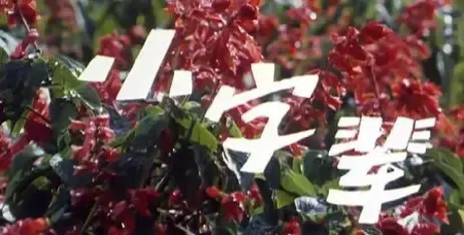 一部1979年的电影，教我怎么对付2024年的周一。
 
不是鸡汤。你看迟志强在