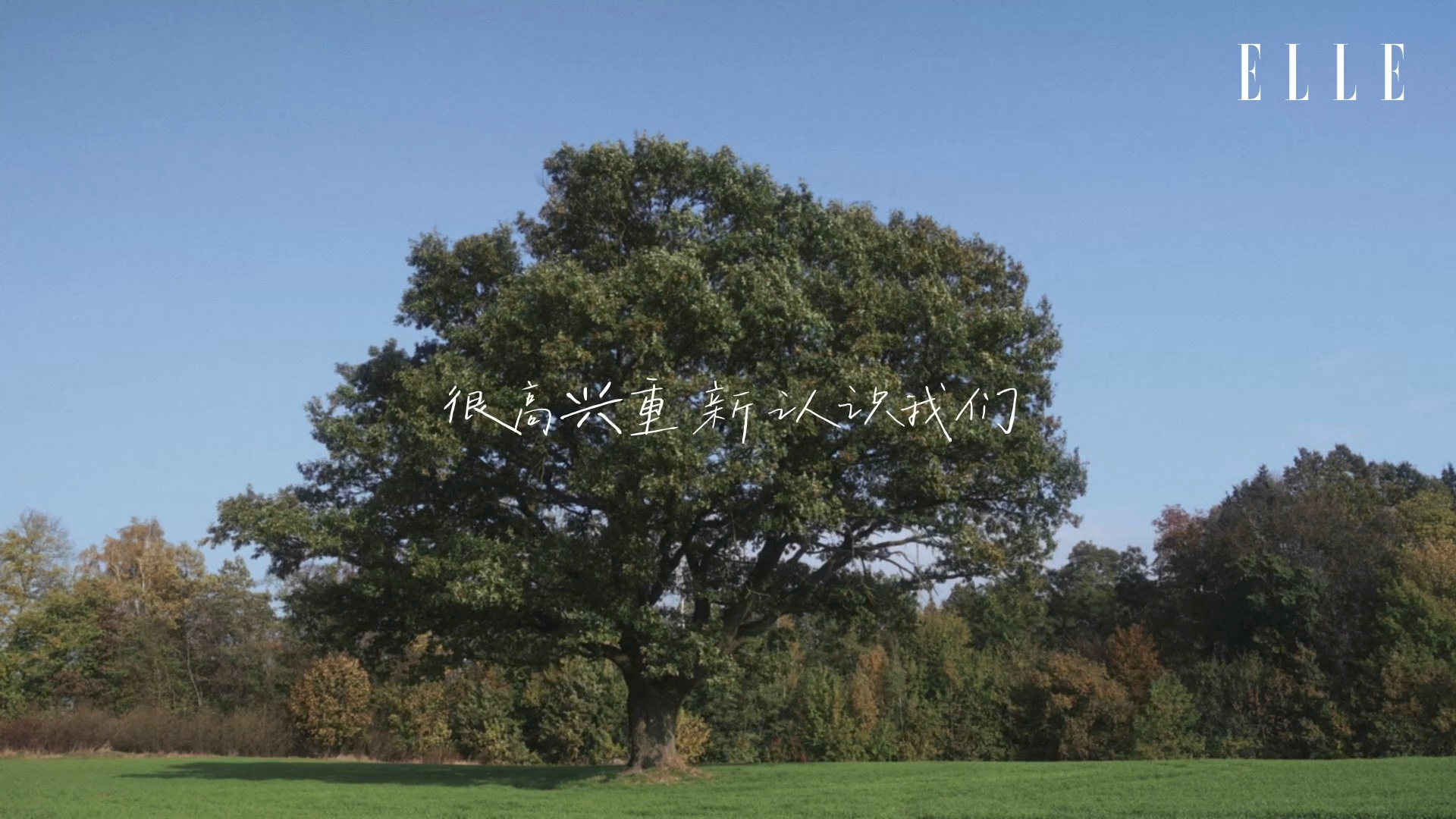 很高兴重新认识我们是“我们”不是“你们”