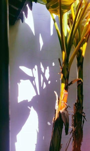 茶人时光
📍苏州 溪山茶事(晴碧园店)