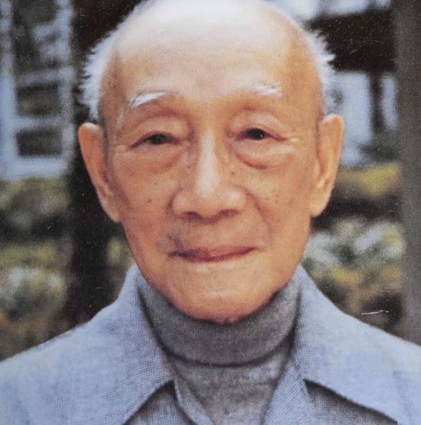 1907年，7岁的林风眠看着母亲被村民们五花大绑，即将带去“沉猪笼”，他冲进厨房