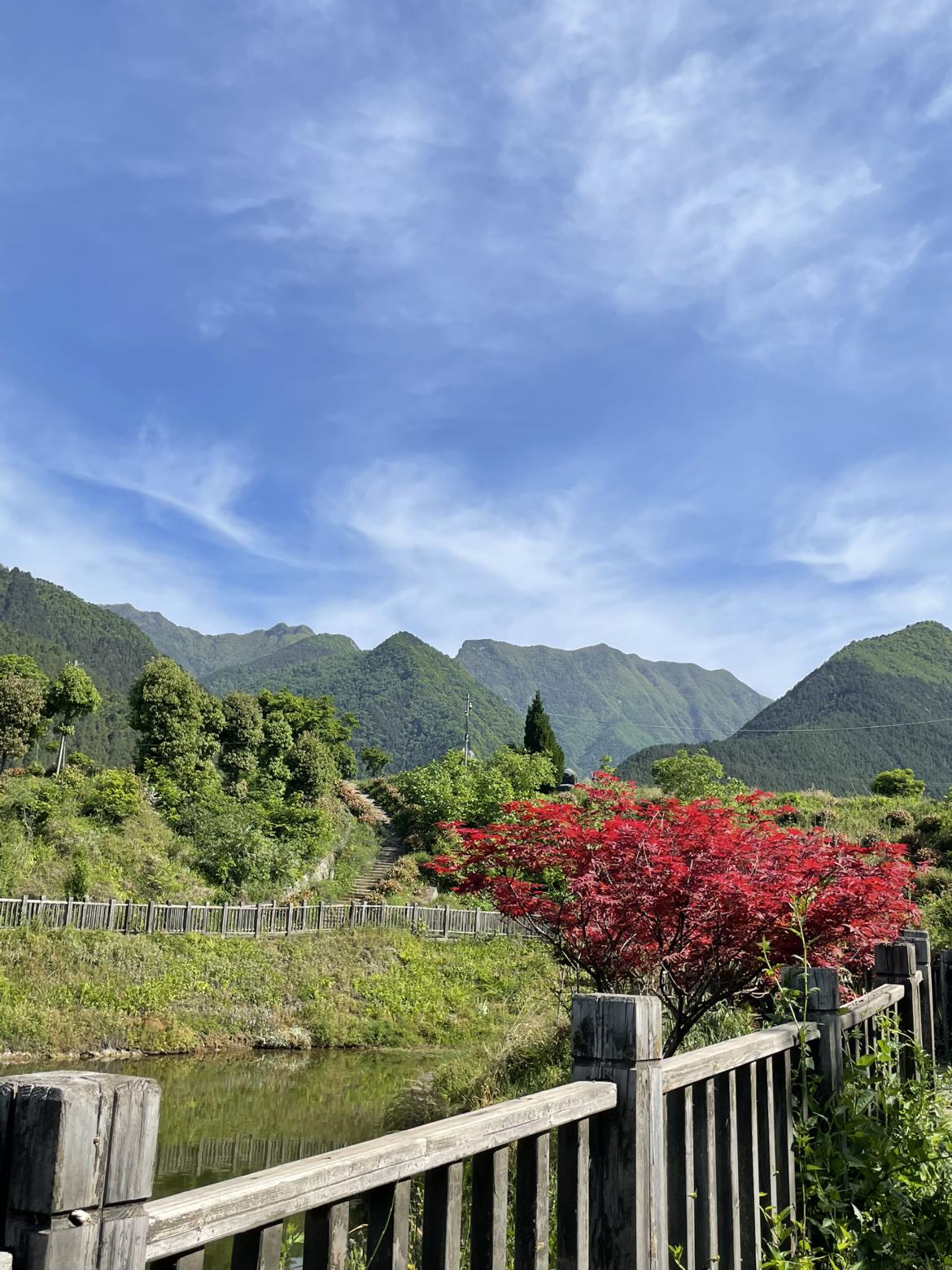 我的今日状态：🏃‍➡️运动
我这里的天气：☀️晴天
今天是个艳阳天，看看这天空
