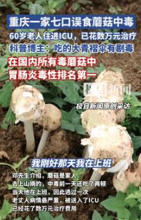 代价太大了！9月18日重庆，一老人在山上摘了些野蘑菇，吃了两顿后没出事，就又去山