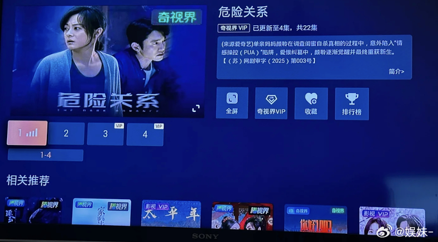 危险关系这滤镜一言难尽，近年來懸疑刑偵都這個味，真有點膩了！ 