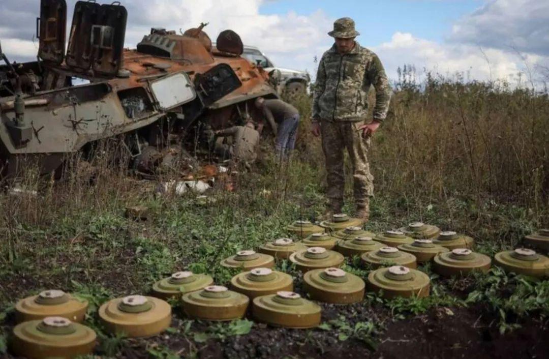 乌克兰国家安全与国防委员会秘书奥列克西·丹尼洛夫表示，乌克兰军队的反攻在东部和南