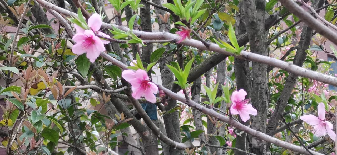 50岁的弟弟找不到工作，只能去跑滴滴，一天10小时，流水375元，我感觉还可以，