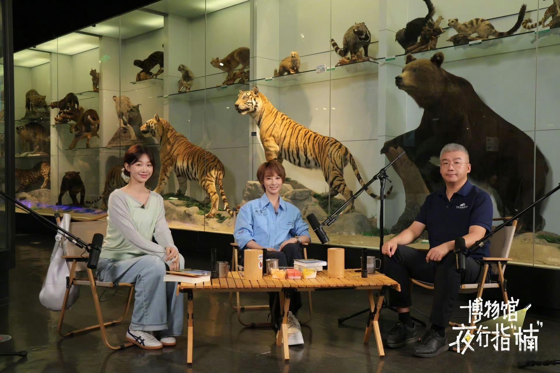 狼性团队是很差的团队 被企业反复引用的“狼性文化”，原来是对狼最大的误解，谢楠播