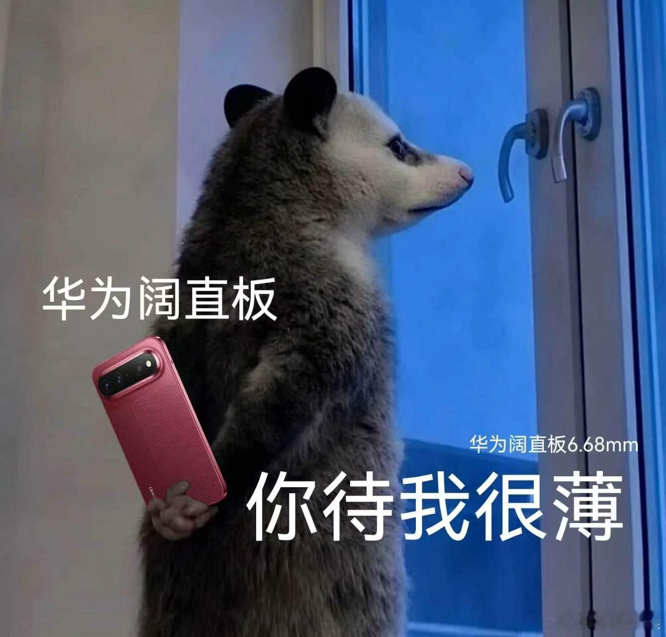 全球首款阔直板来了华为阔直板手机亮相 华为Pura X View作为首款阔直板机
