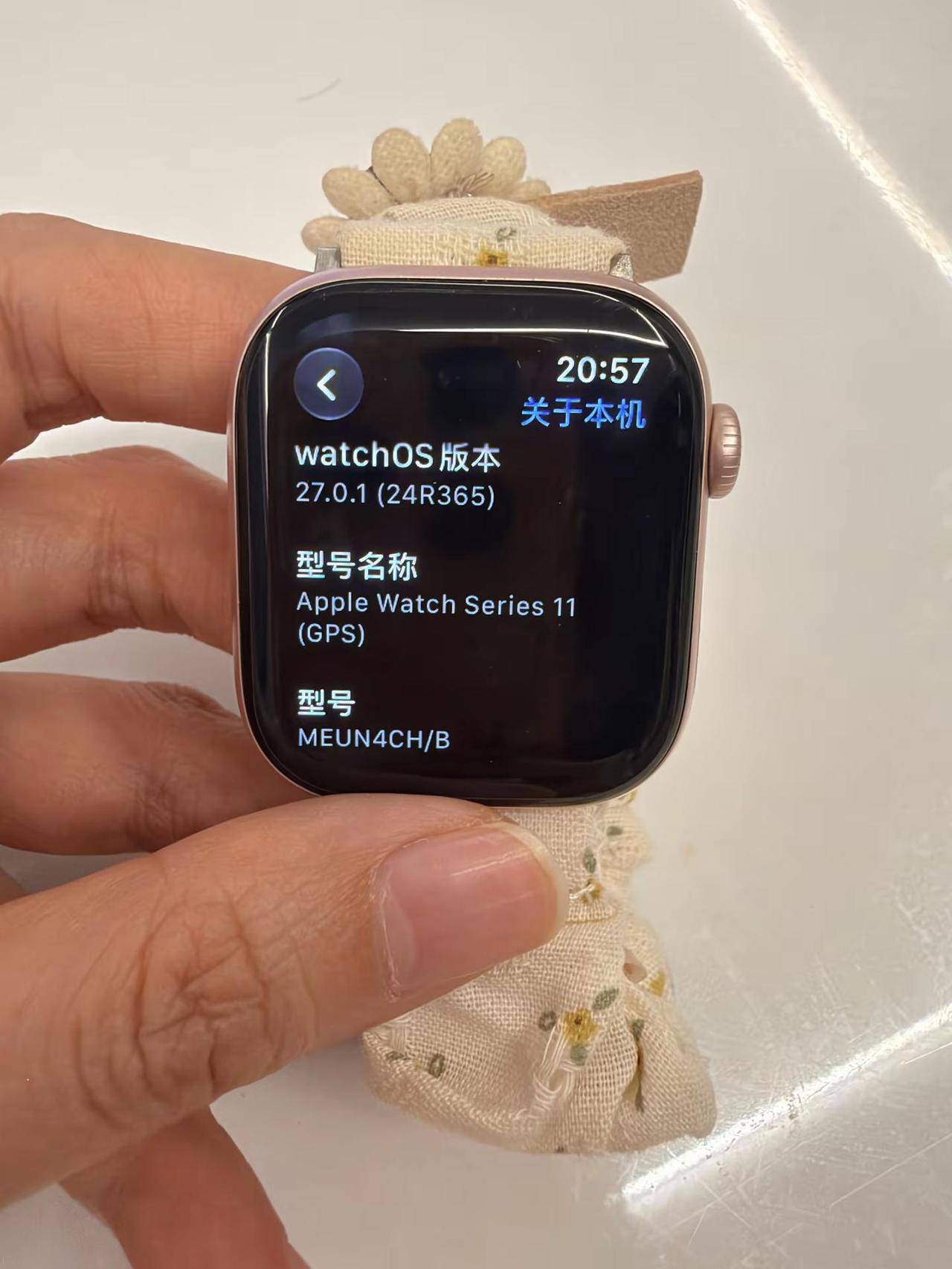 iPhone升级最新版本apple watch连不上！🥹😭